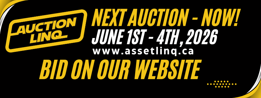 Auction Linq June Auction